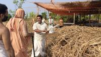 HH Swamiji's visit to Kembre-Alemane Traditional sugarcane crushing and Processing Unit (7 April 2025)